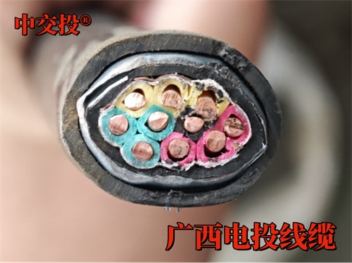 ZRA-KVVP2-22 屏蔽控制電纜