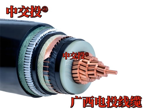 廣西光伏電站送出線路工程