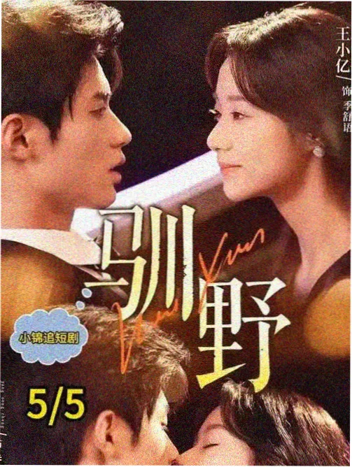 热播榜第三位 海报